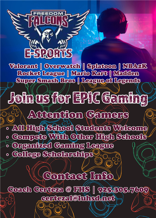 Freedom High School E-Sports Flyer
